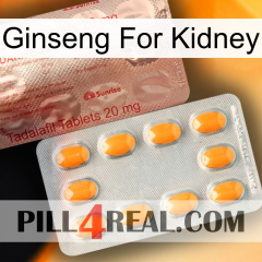 Ginseng For Kidney new13